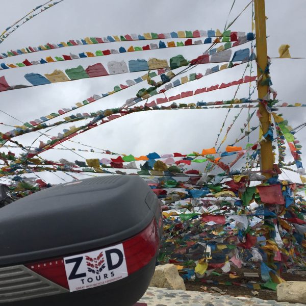 Zed Flags 2