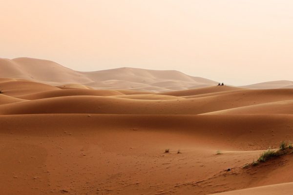 Zed Tours Morocco Recce